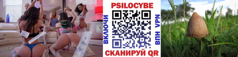 Галлюциногенные грибы Psilocybine cubensis  Усть-Катав 